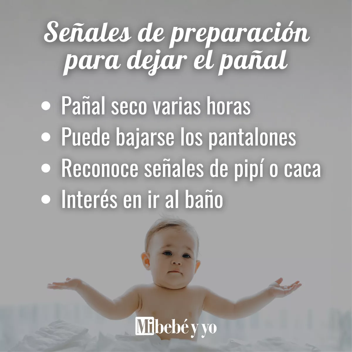 panal-senales-infografia