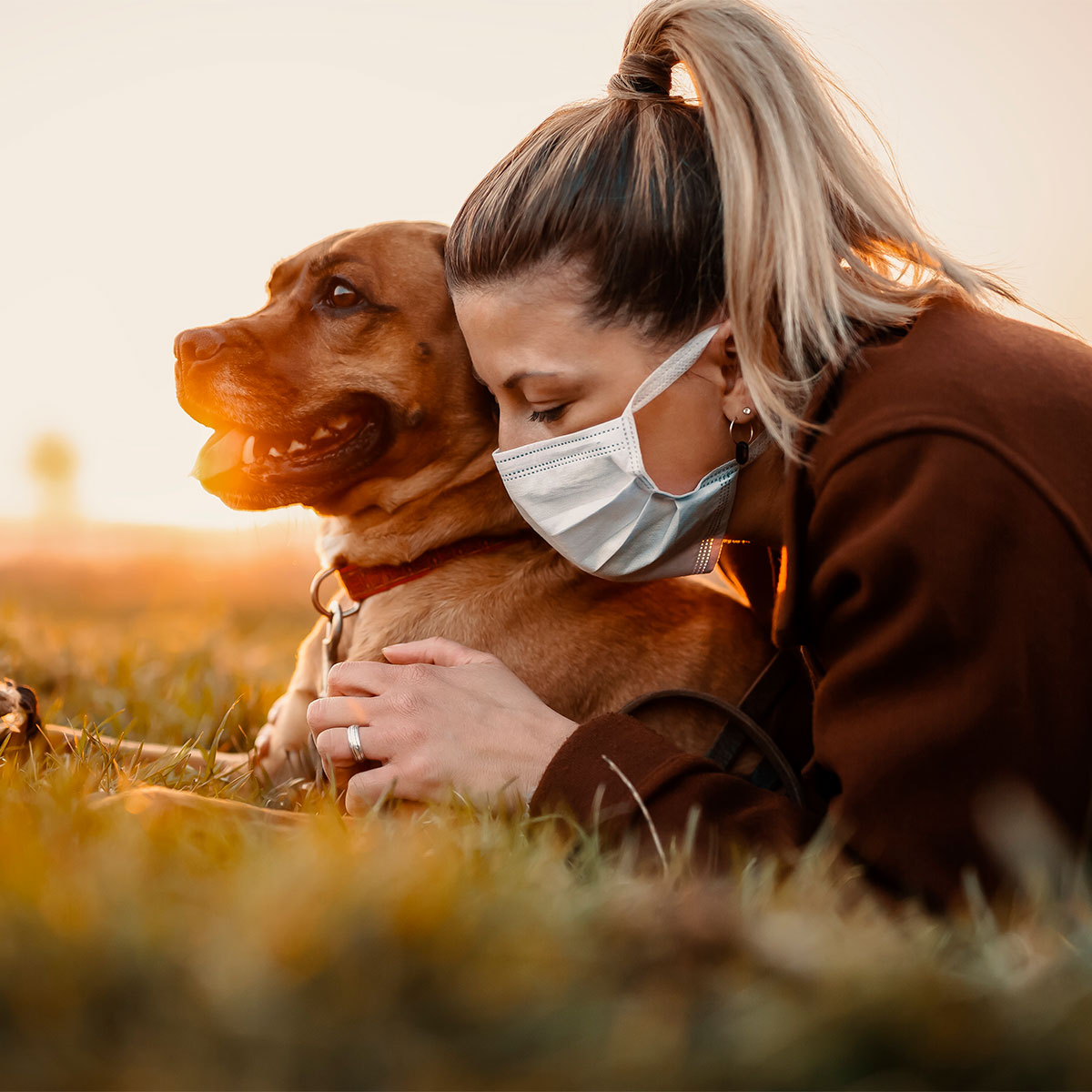 Coronavirus y perros: ¿qué medidas debemos tomar con nuestras mascotas?