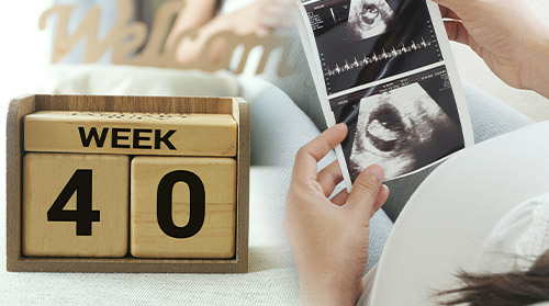 ¡Todas las Semanas de Embarazo!