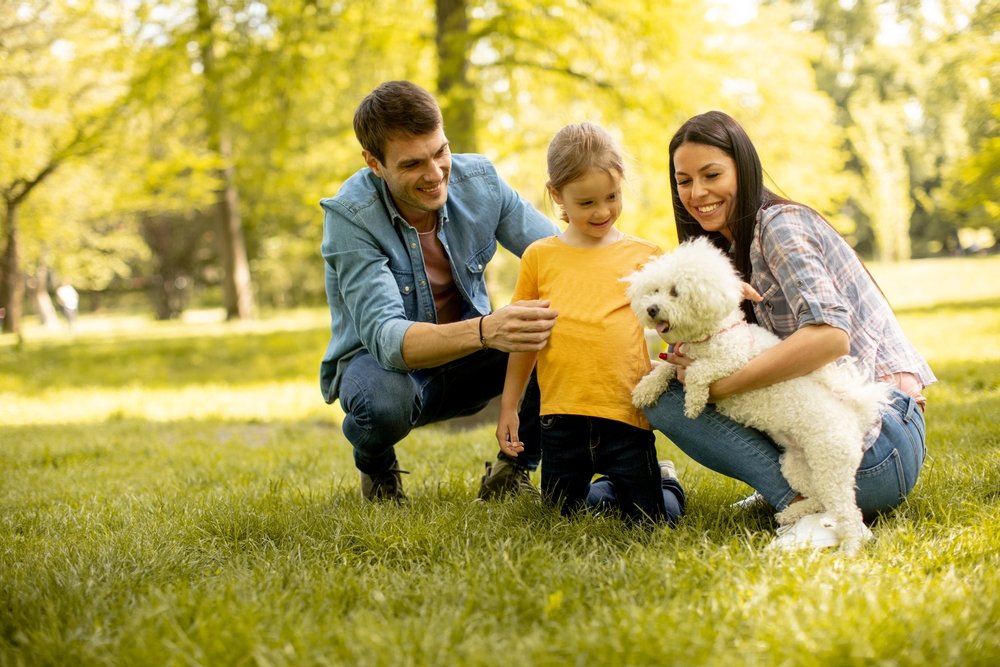 5 planes familiares para salir con tu mascota
