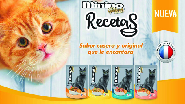MEJOR1