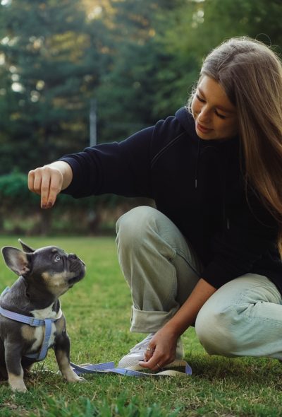 Woman,Hugging,A,Dog,,Walk,In,The,Park,,Outside,French